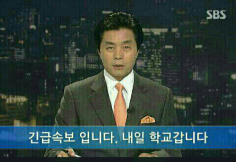 월욜 내일학교 등교 속보 직딩