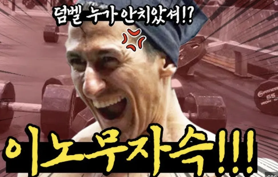 최근 인기 짤방 리스트 - 오늘의짤방