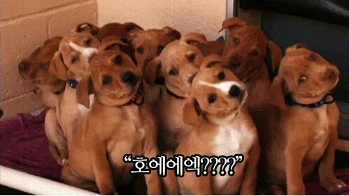 놀람