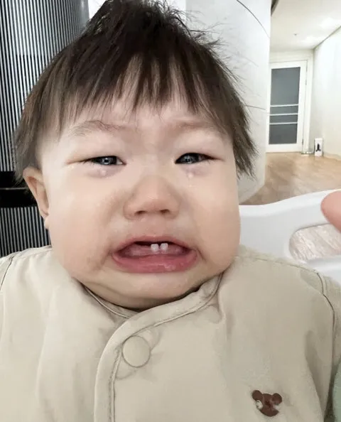 최근 인기 짤방 리스트 - 오늘의짤방
