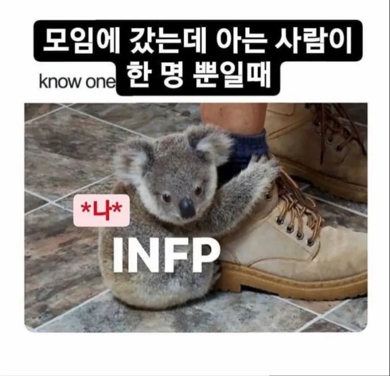 INFP #MBTI MBTI 내향인 낯가림 모임 아는사람 껌딱지 코알라 공감 어색