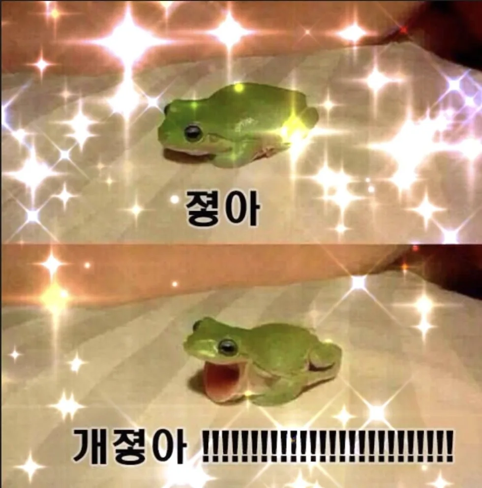 개구리반짝