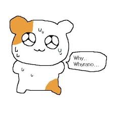 와이라노 에비츄 당황 땀 난감 어이없음 햄스터 짤 멘붕 Why