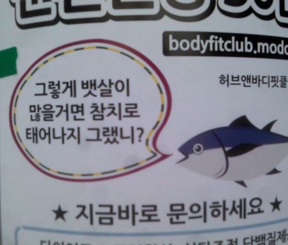 그렇게 뱃살이 많을거면 참치로 태어나지 그랬니