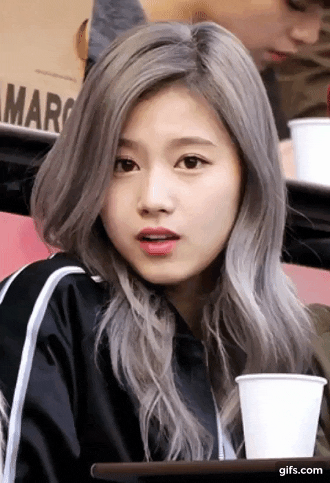 트와이스 사나 표정 여우
