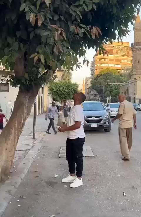 돈 나오는 나무