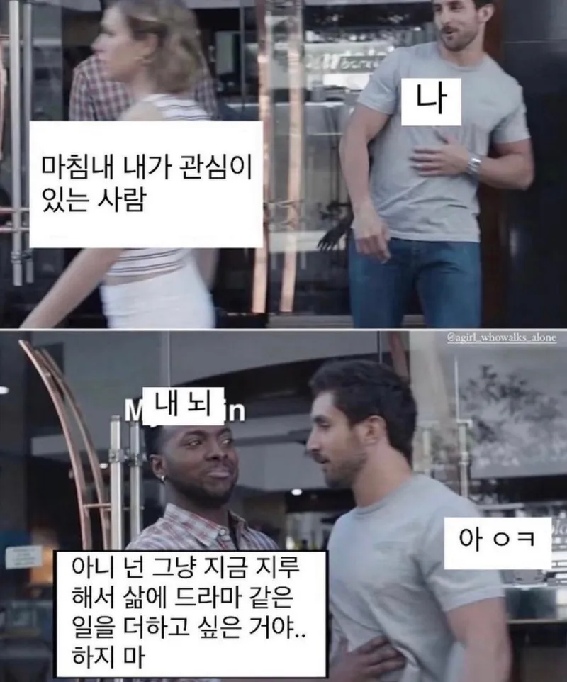 INTP #MBTI 질레트 밈 MBTI 팩폭 내 뇌 이성 짝사랑 포기 공감