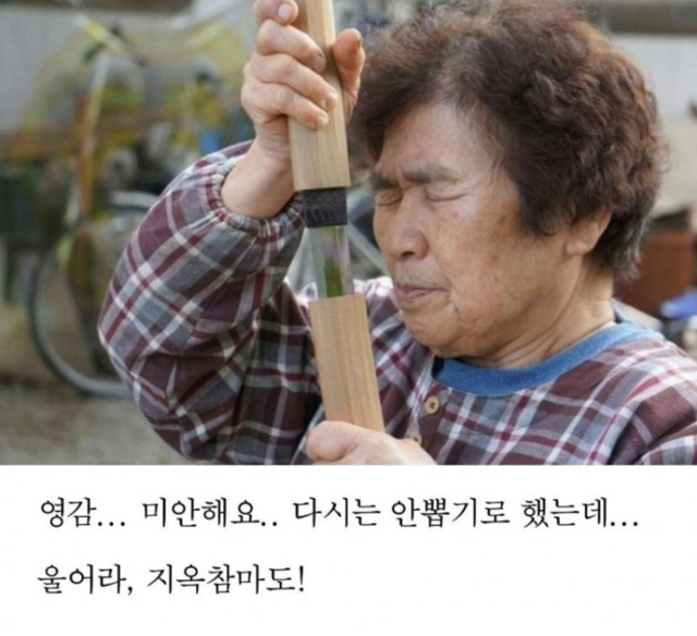 지옥참마도 염감 미안해요 다시는 안뽑기로 했는데 울어라 할머니 칼 검