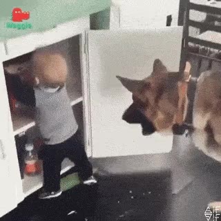 이거먹어 먹어 도둑