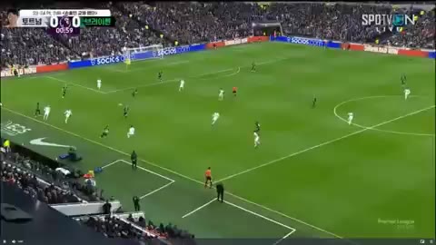 토트넘 브라이튼 프리미어리그 축구 몸개그 실수 웃긴 움짤 해축