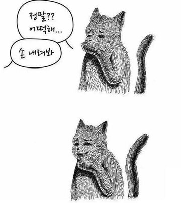 웃겨 손 내려봐 정말 어떡해 고양이 가식 비웃음 웃참 반전 짤방