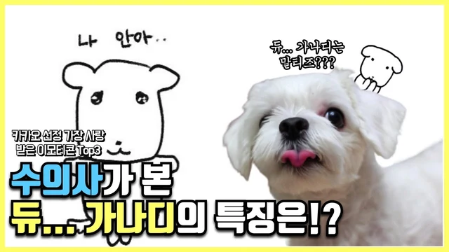 삼삼한 수의사 · 수의사가 분석한 가나디의 특징