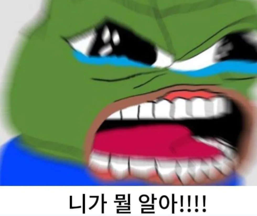 니가뭘알아! 페페 개구리 눈물 분노 니가 알아 억울함 절규 슬픔
