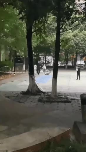 멍짤 강아지 개