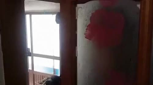 지켜보고있다 지켜봄 기뉴다 조심해라 아프리카