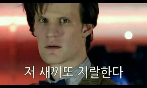외화 저새끼또지랄한다 욕