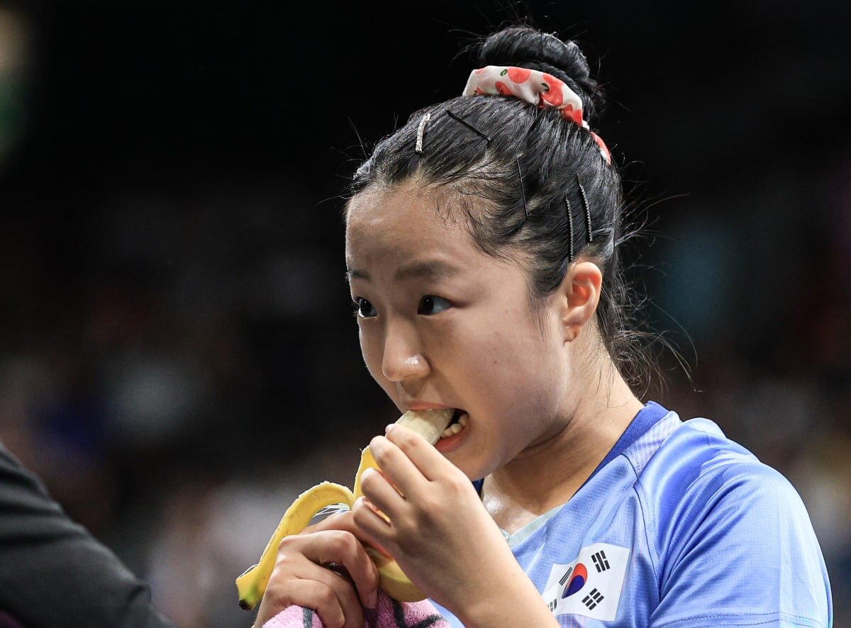 올림픽 2024 프랑스 파리 올림픽짤