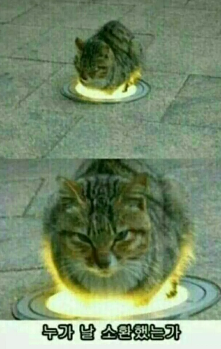 소환사