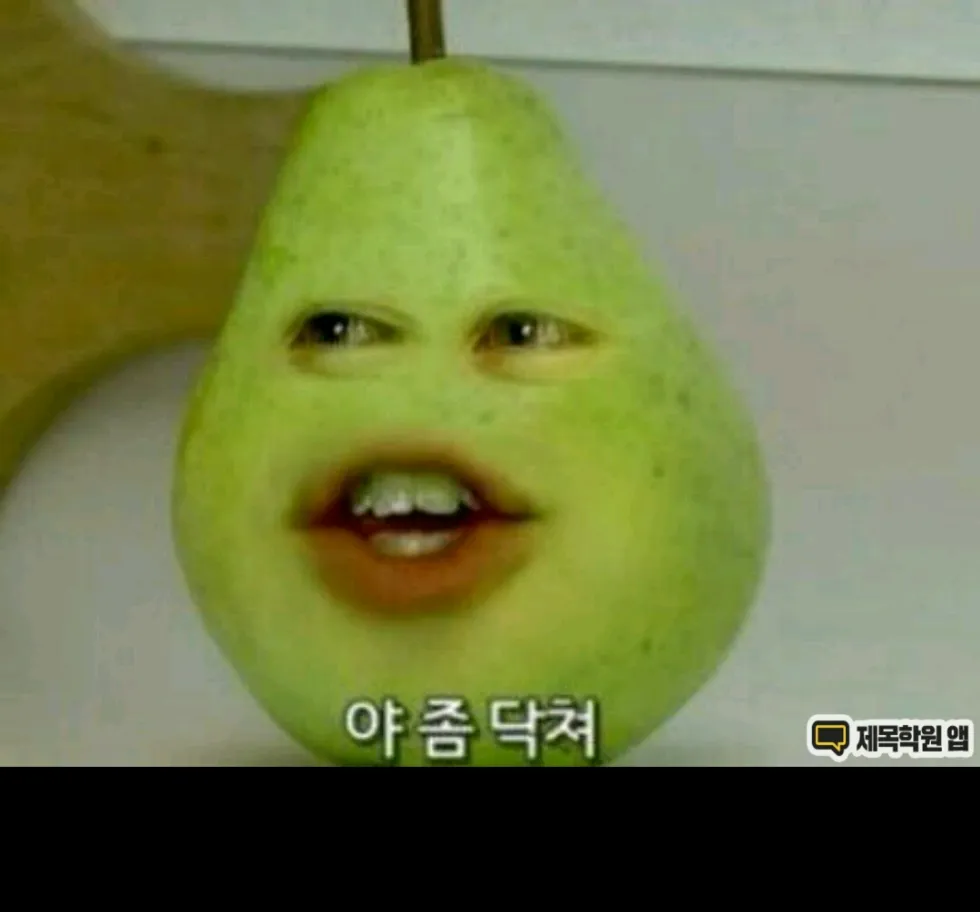 대화 어노잉오렌지 닥쳐 야좀닥쳐 짜증 정색 리액션 한심