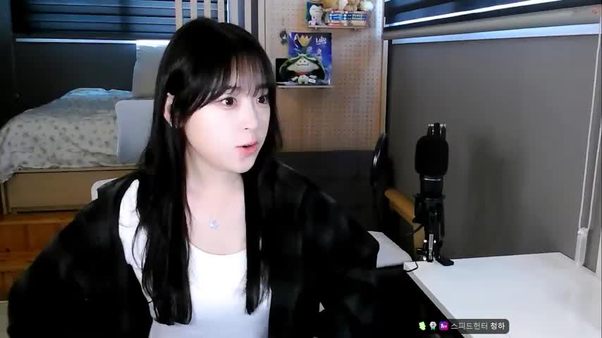 진청 치지직 여성 스트리머 방송 영상