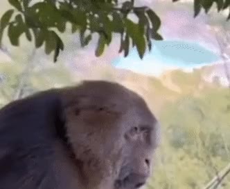 뭐지 이 ㅂㅅ은?