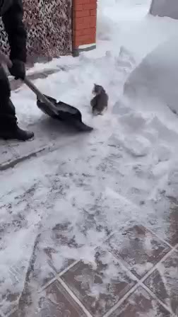 짤 짤방 모음