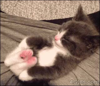 기지개 발바닥 쭈욱 심장폭행 고양이 냥이