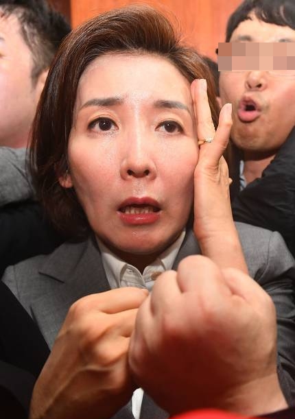 나경원 빠루 국회의원 국민의힘 정치 정치짤 표정 영혼가출