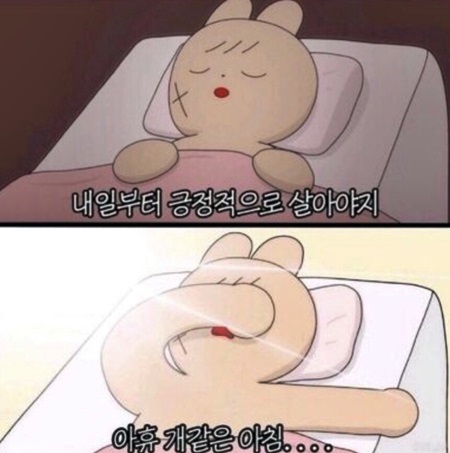 내일부터 긍정적으로 살아야지 아휴 개같은 아침