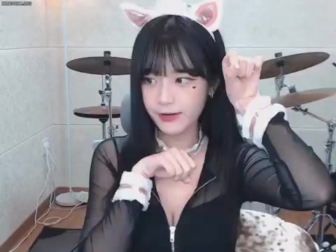 쵸단 BJ 스트리머 고양이귀 애교 귀여움 움짤 리액션