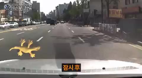 딸배 레전드
