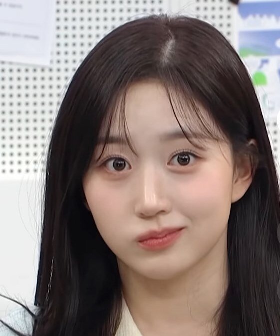 놀란곰 오해원