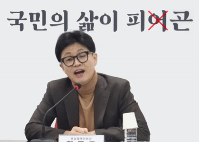 똥피곤 한동훈 국민의 삶이 피곤 피여곤 피로 지침 개피곤 정치 짤