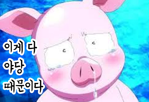눈물 돼지 야당때문이다 이게 다 야당 때문이다 정치 새누리 자유당 바른정당 쓰레기 패러디