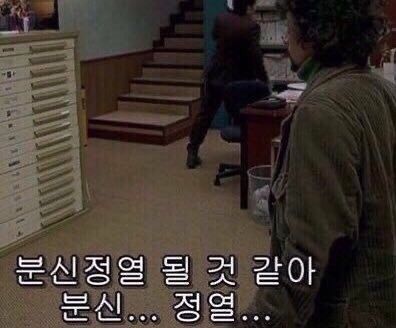 정신분열 정열 분신 미친