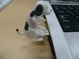 usb 강아지 USB 허리돌림 마운팅 노트북 병맛 웃긴 엽기
