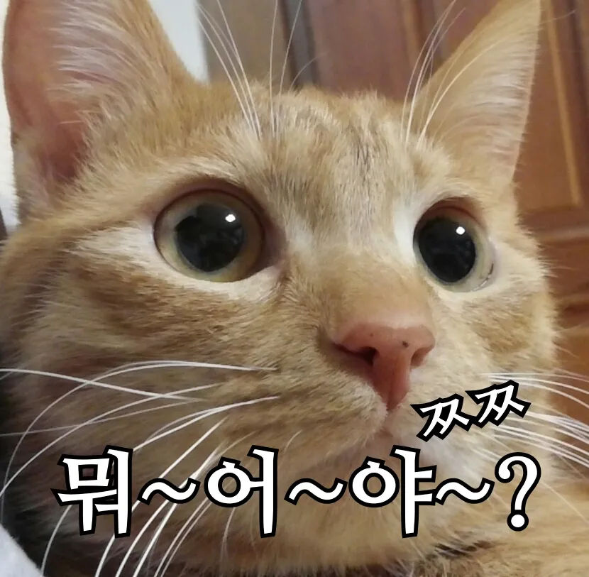 뭐~어~야~?