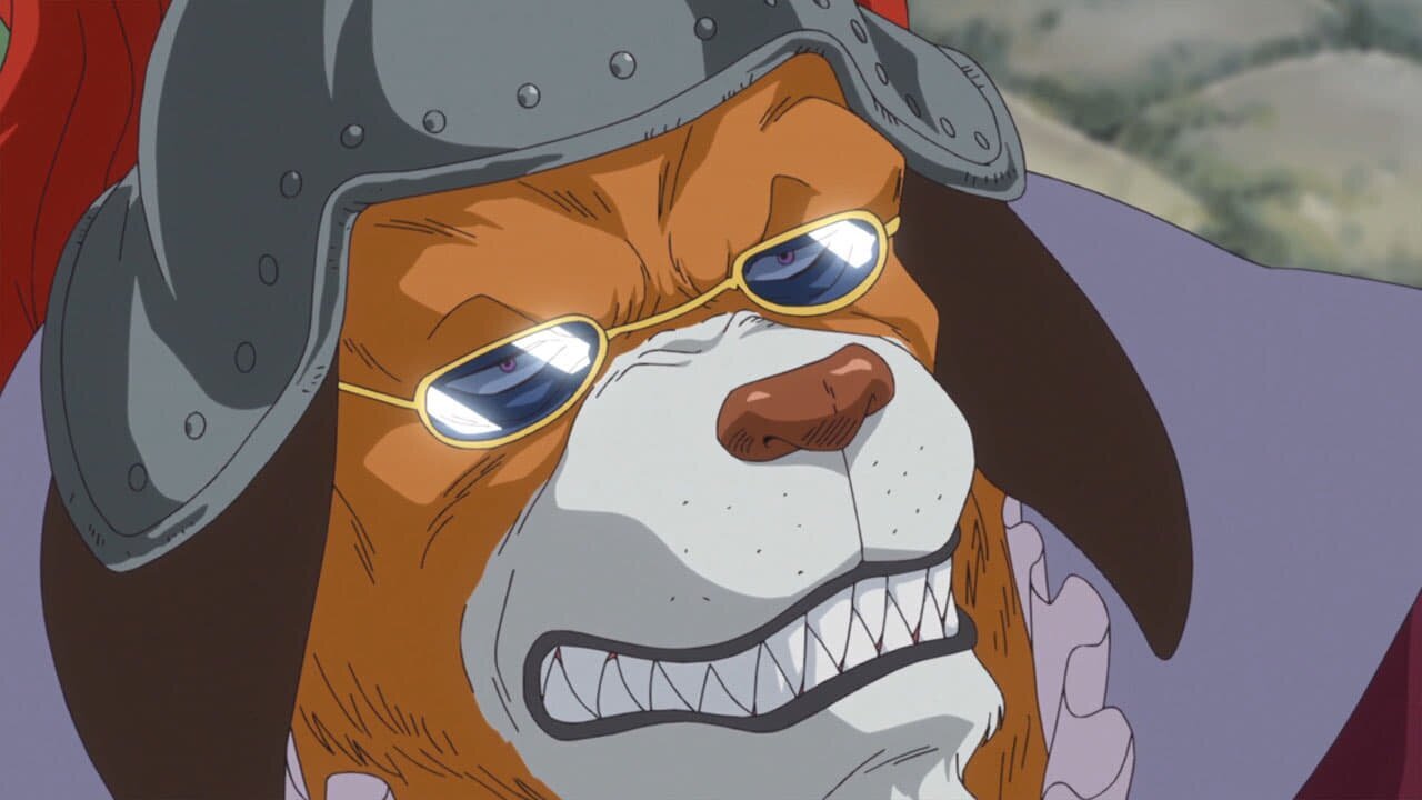 이누아라시 원피스 애니메이션 일본 One Piece