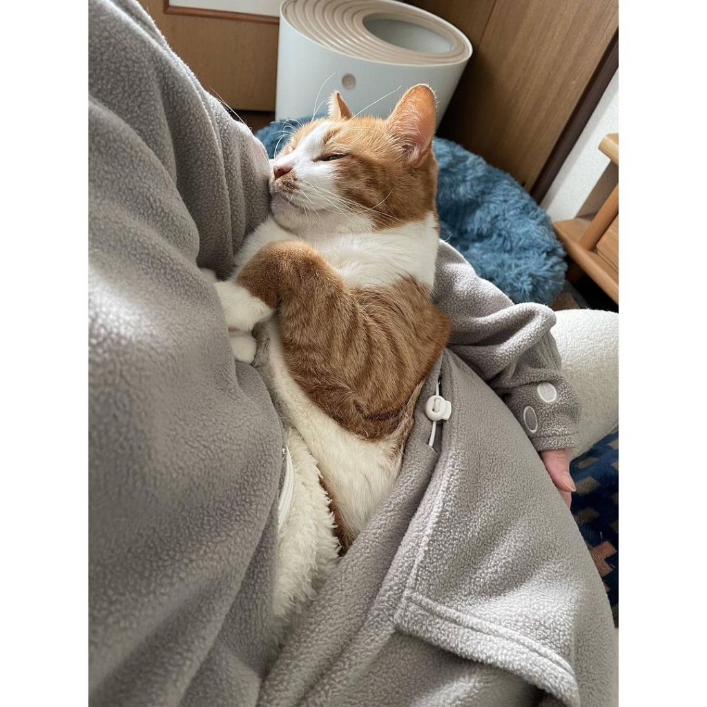 나를 가둬버린 귀여운 고양이