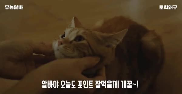 무능알바 오늘도 포인트 잘먹을께 가생이 토착왜구 알바 갔다올께 현대해상