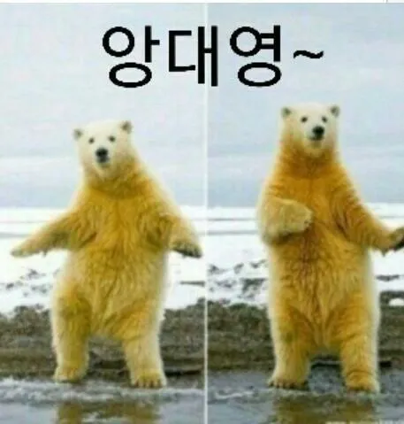앙대영 앙대