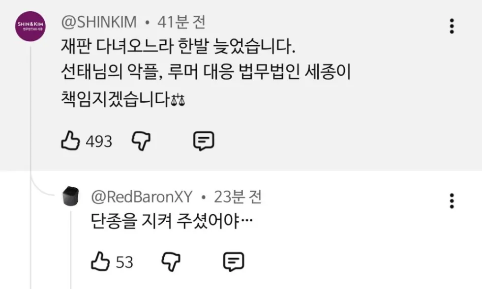 법무법인 세종의 등판과 역사 드립