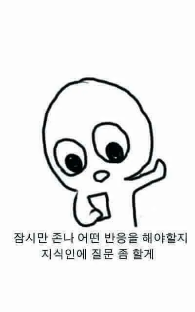 지식인 질문 무반응