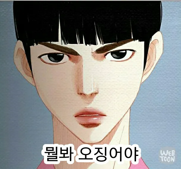 오징어 뭘봐