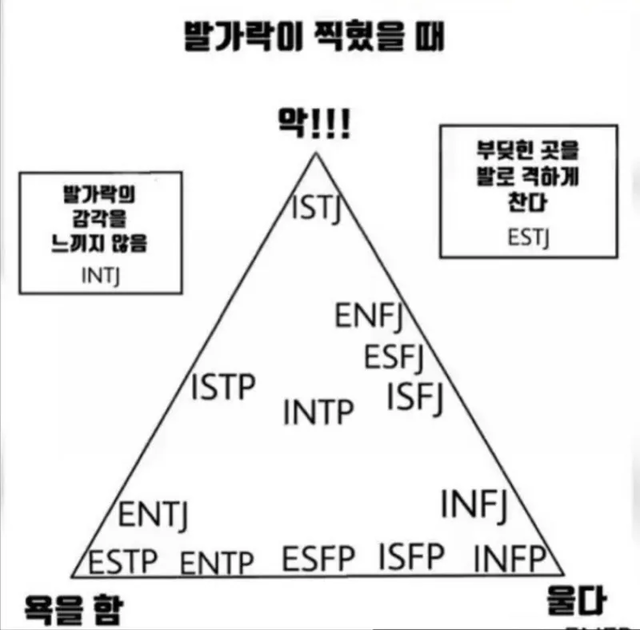 MBTI 성격 유형 취향 mbti짤 mbti짤방 mbti타입