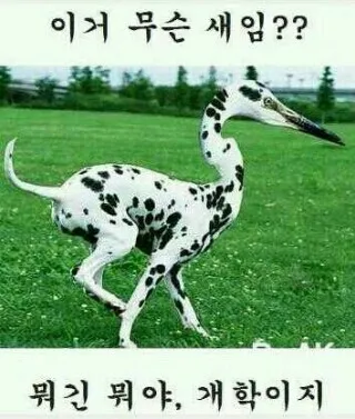 개학