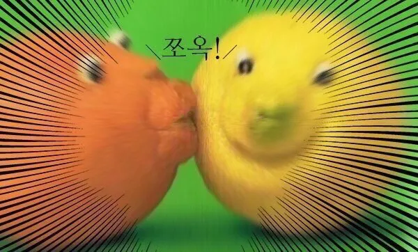 쪼옥 쭈압 쮸압 쬬옥