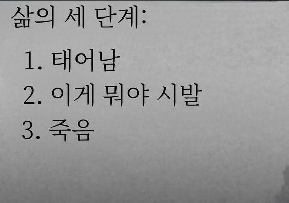 삶의 3단계 단계 태어남 이게 뭐야 시발 죽음 이게뭐야 인생