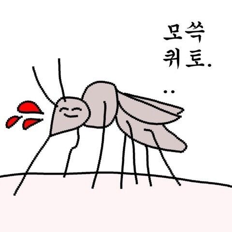 모쓱퀴토