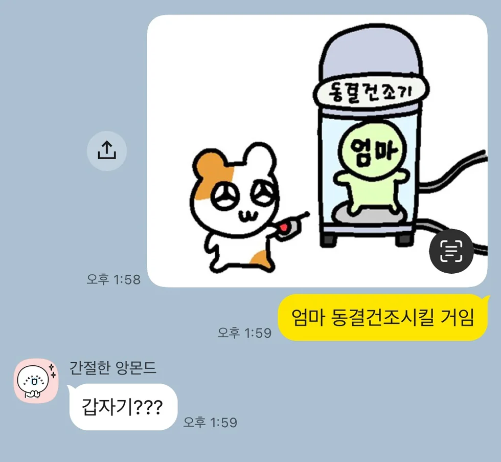 엄마 동결건조